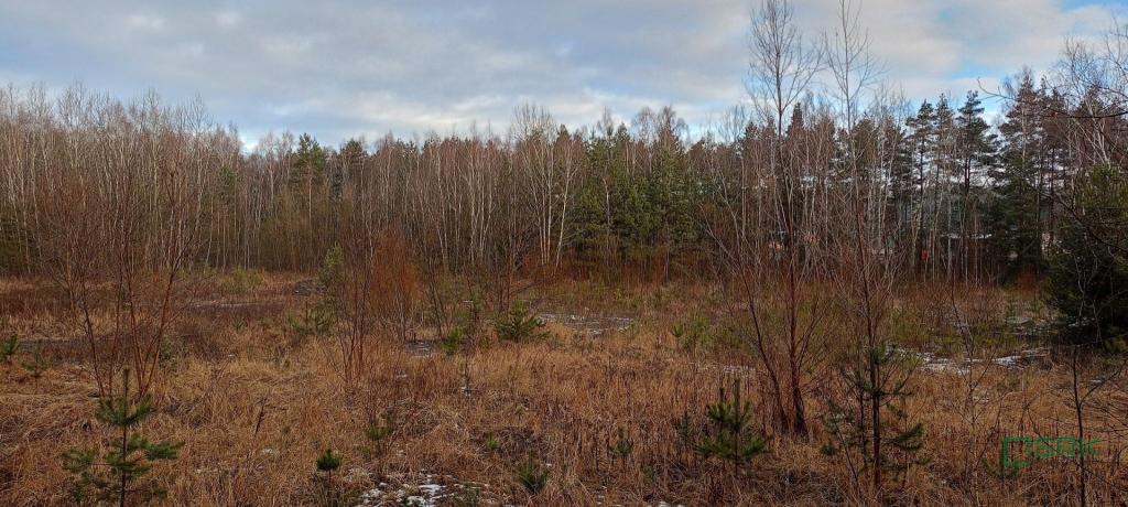 Działka inwestycyjna 22,42 ha, Sosnowiec, Stacyjna i Łazienna - zdjęcie 3