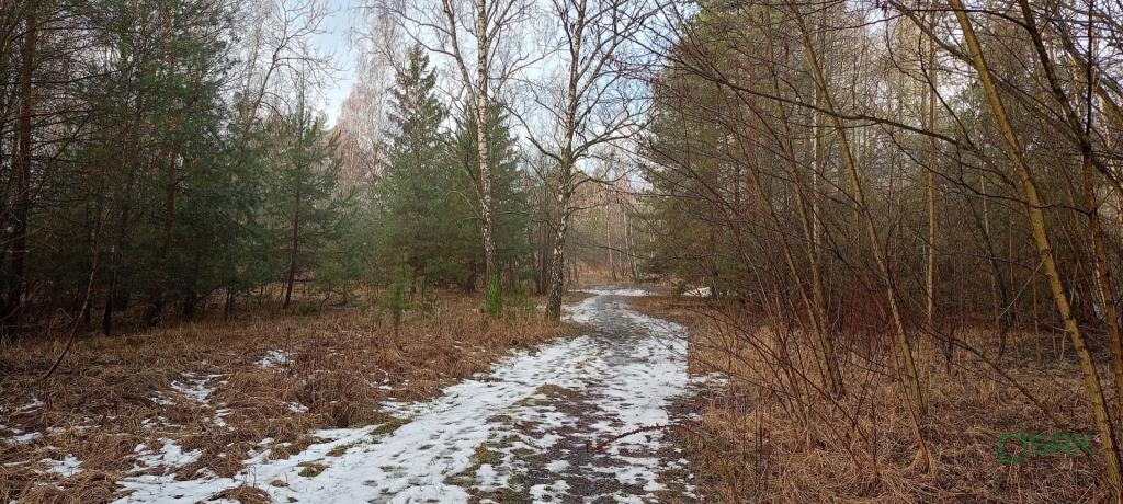 Działka inwestycyjna 22,42 ha, Sosnowiec, Stacyjna i Łazienna - zdjęcie 2