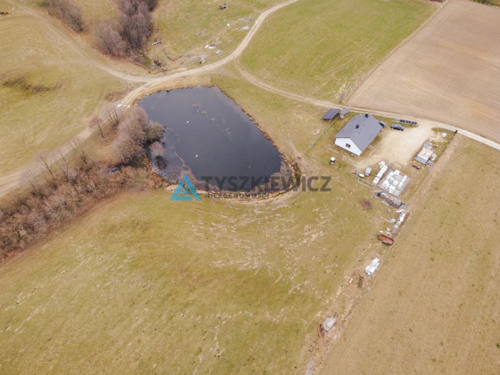 Hektar ziemi | Prywatny staw | Dom - zdjęcie 24