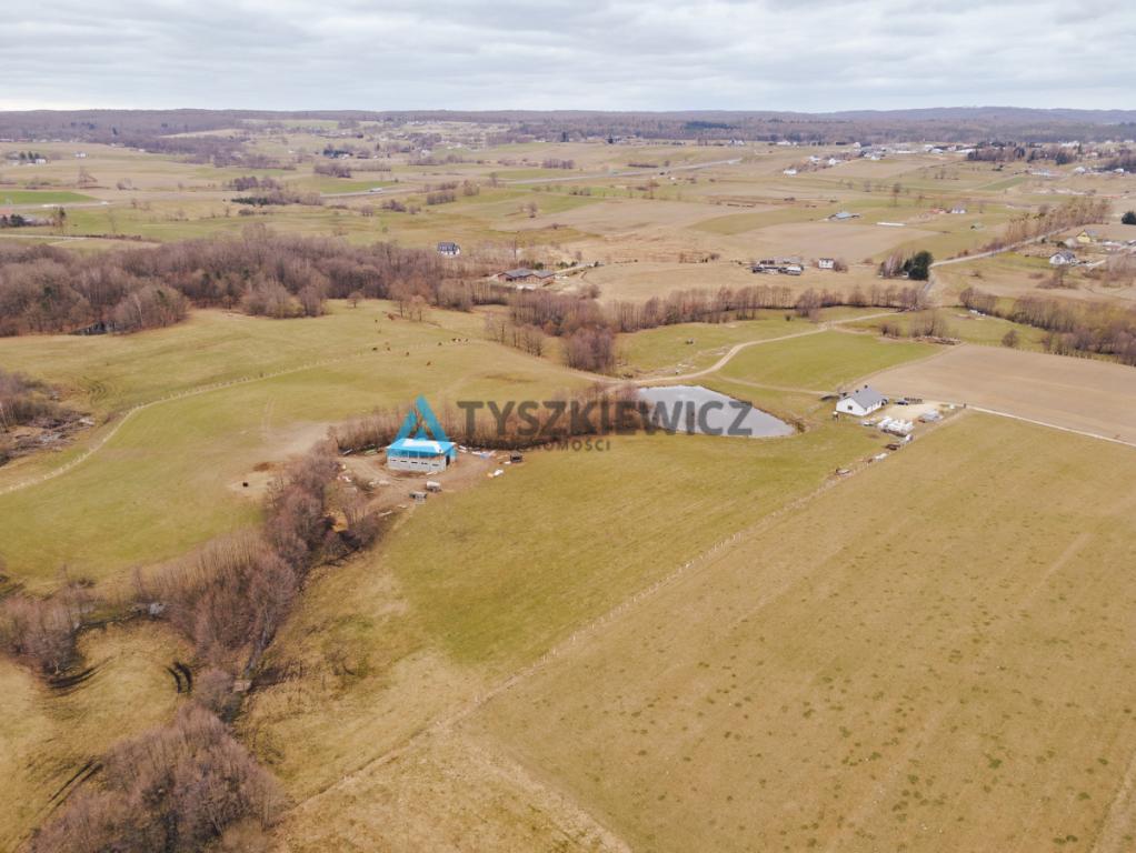 Hektar ziemi | Prywatny staw | Dom - zdjęcie 22