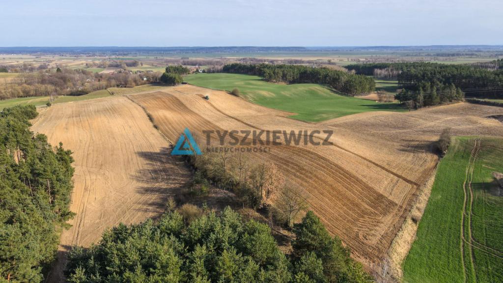 Siedlisko z potencjałem w otoczeniu natury - zdjęcie 21