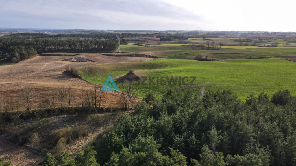 Siedlisko z potencjałem w otoczeniu natury - zdjęcie 22