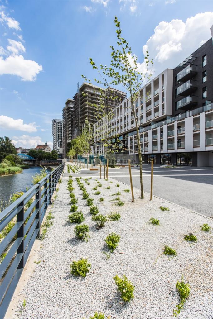 Lokal usługowy do wynajęcia, 43 m², Wrocław, Stare Miasto, al. Aleja gen. Władysława Sikorskiego - zdjęcie 2