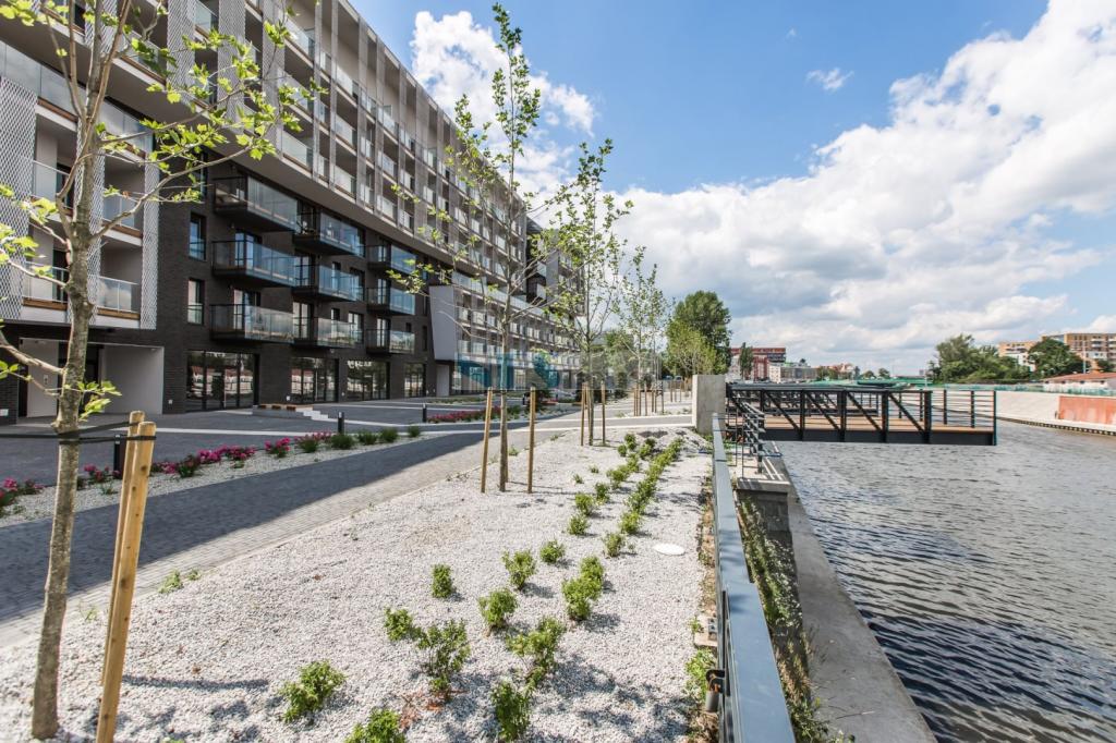 Lokal usługowy do wynajęcia, 43 m², Wrocław, Stare Miasto, al. Aleja gen. Władysława Sikorskiego - zdjęcie 3