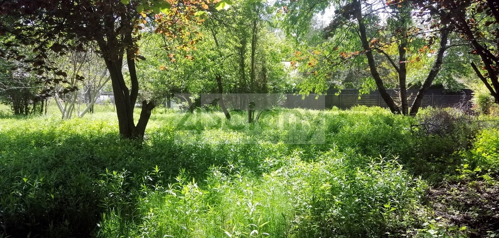 Działka budowlana 1004 m², Warszawa - zdjęcie 3