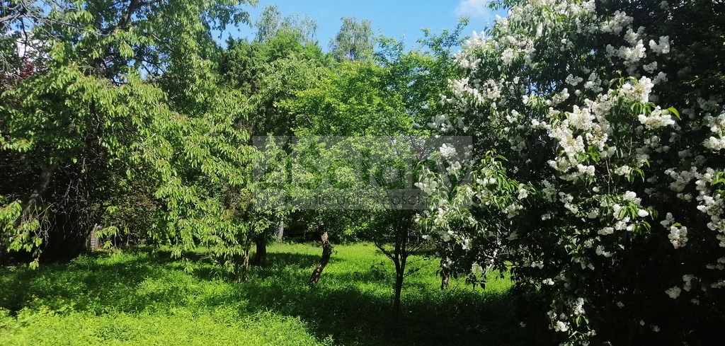 Działka budowlana 1004 m², Warszawa - zdjęcie 2