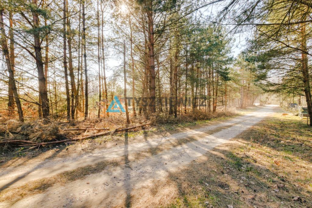 Działka na Kaszubach blisko Jeziora Żukówko! - zdjęcie 11