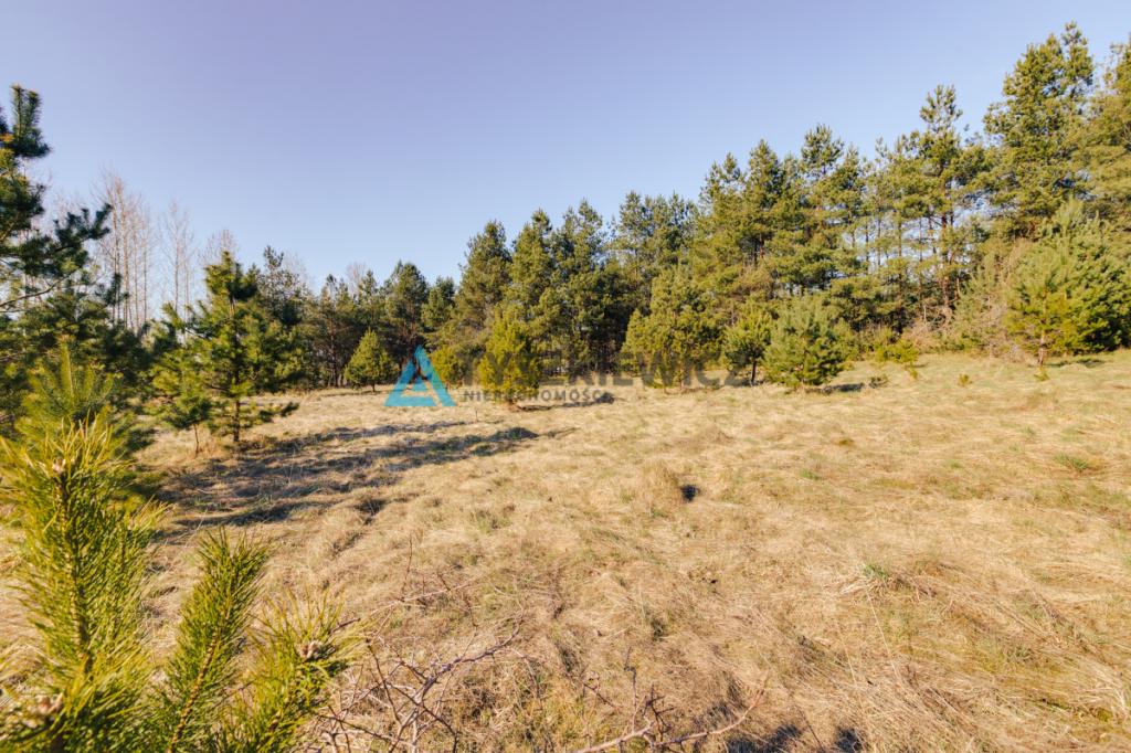 Działka na Kaszubach blisko Jeziora Żukówko! - zdjęcie 10