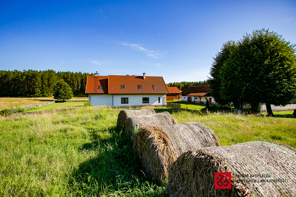 Dom 220 m², Wipsowo - zdjęcie 8