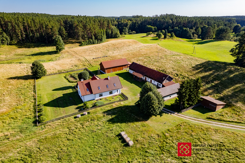 Dom 220 m², Wipsowo - zdjęcie 6