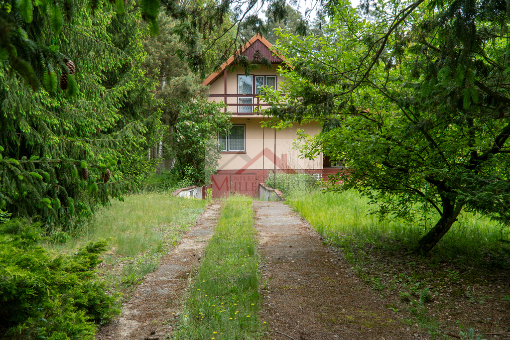 Działka rekreacyjna 1056&nbsp;m², Borkowo, Leśna - zdjęcie 8