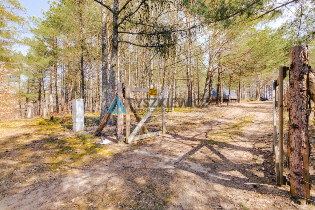 Działka z Linią Brzegową jeziora Wdzydze - zdjęcie 21