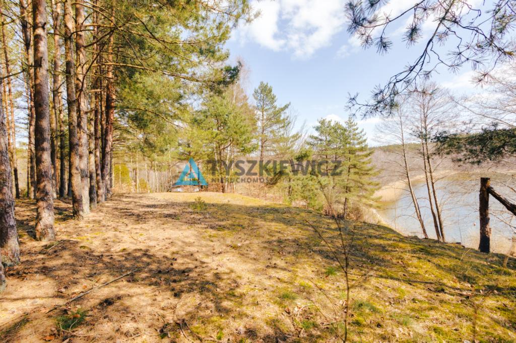 Działka z Linią Brzegową jeziora Wdzydze - zdjęcie 28