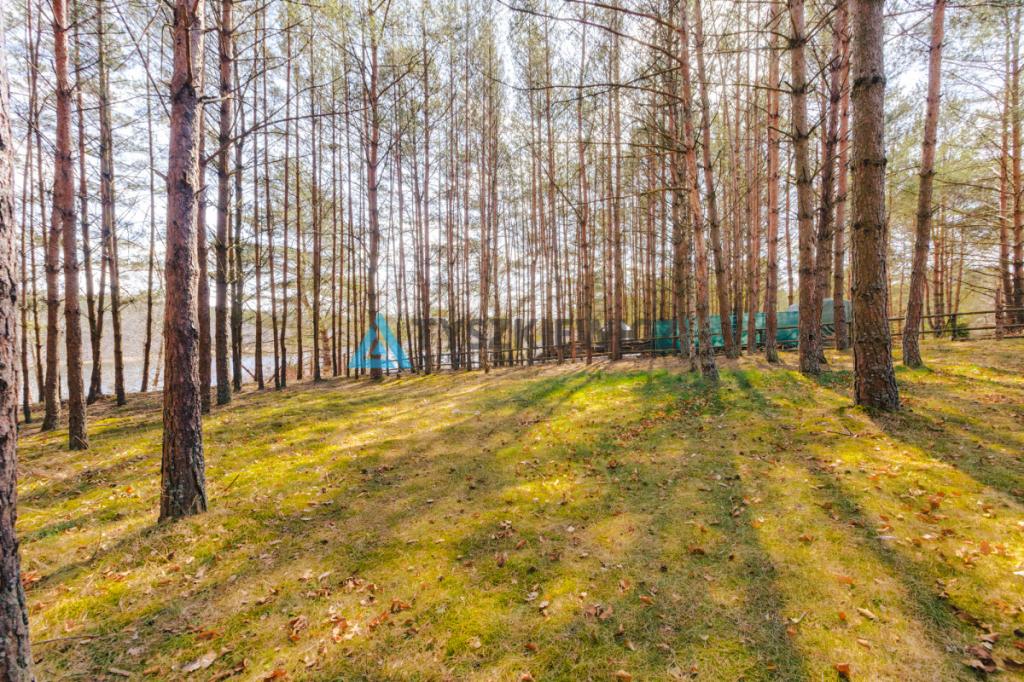 Działka z Linią Brzegową jeziora Wdzydze - zdjęcie 25