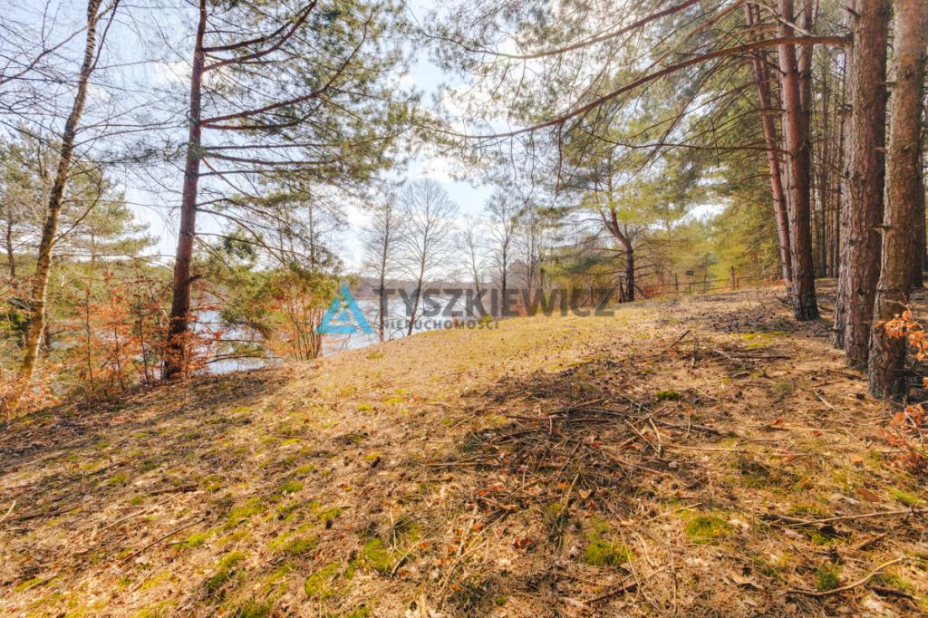 Działka z Linią Brzegową jeziora Wdzydze - zdjęcie 29