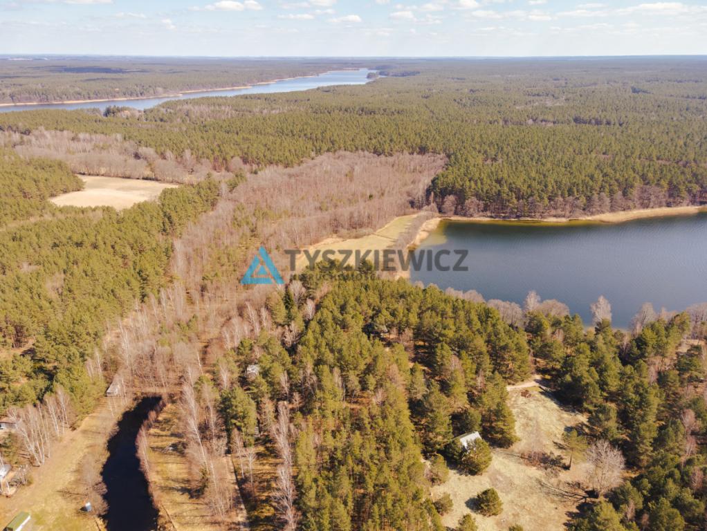 Działka z Linią Brzegową jeziora Wdzydze - zdjęcie 8