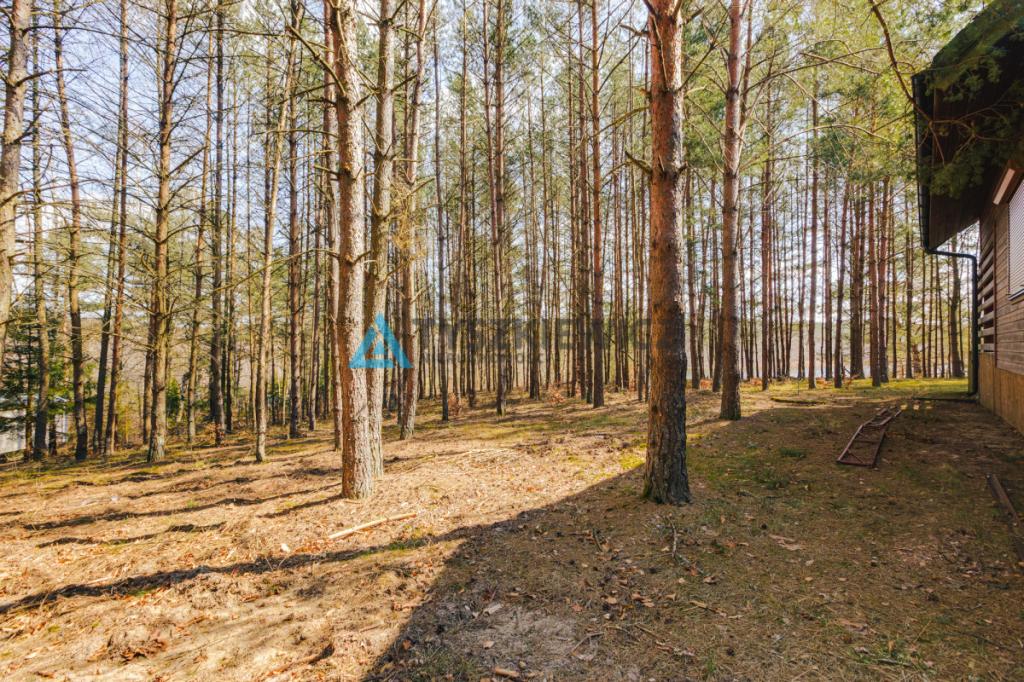 Działka z Linią Brzegową jeziora Wdzydze - zdjęcie 24