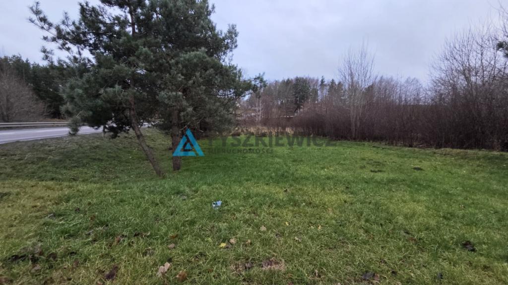 Dom z dużą działką przy drodze wojewódzkiej nr 212 - zdjęcie 14
