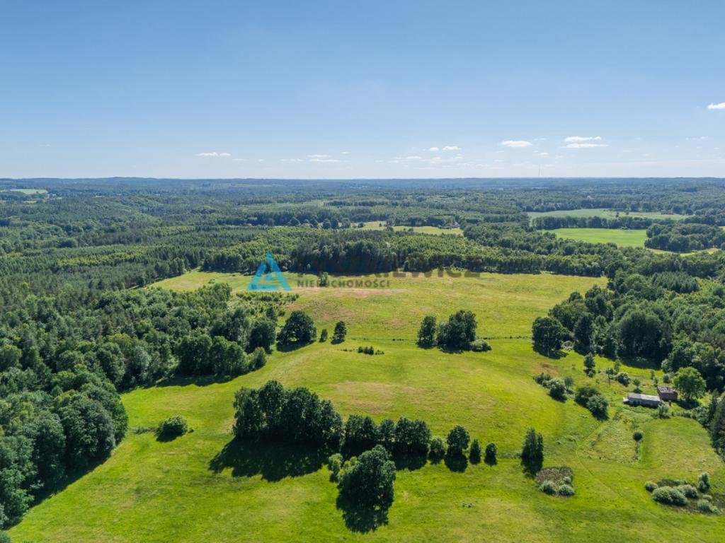 Działka rolna 10 ha - Gatka, gm. Miastko - zdjęcie 15