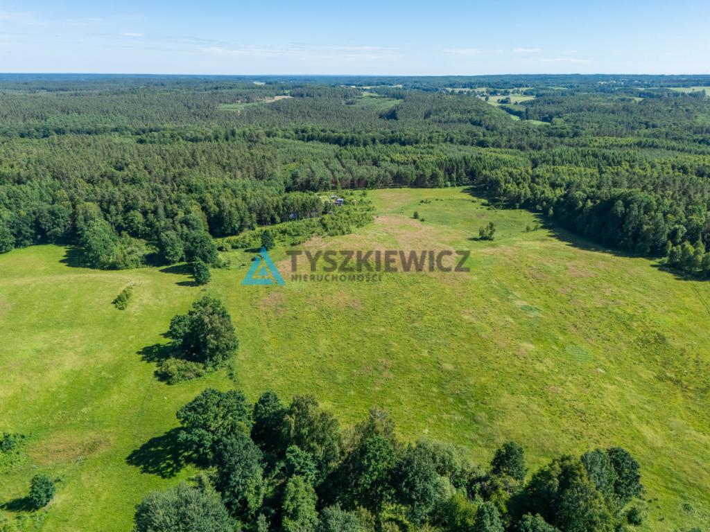 Działka rolna 10 ha - Gatka, gm. Miastko - zdjęcie 4