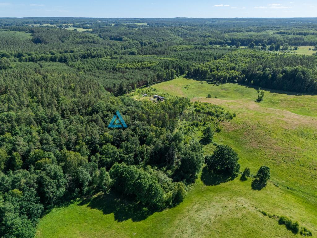 Działka rolna 10 ha - Gatka, gm. Miastko - zdjęcie 2