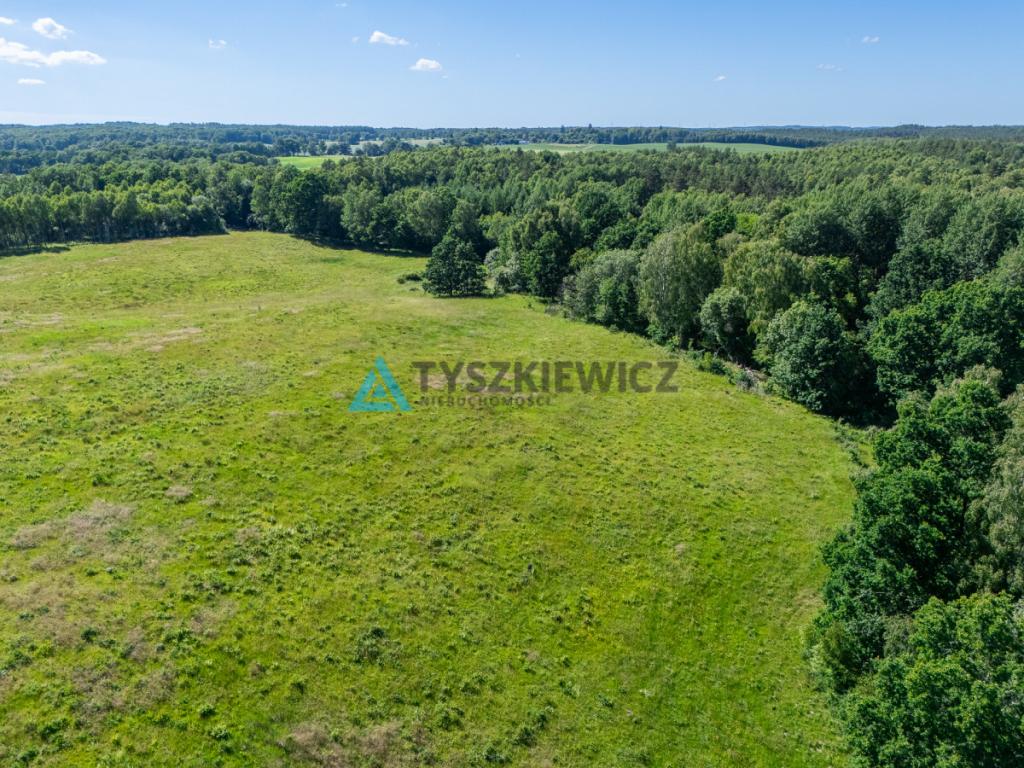 Działka rolna 10 ha - Gatka, gm. Miastko - zdjęcie 7