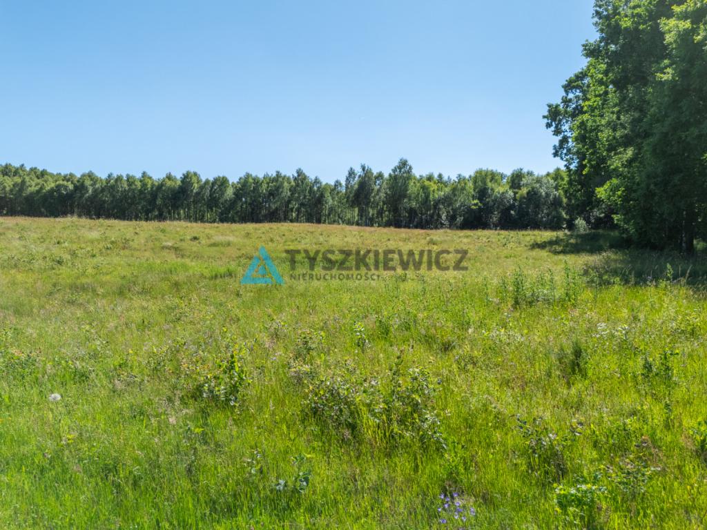 Działka rolna 10 ha - Gatka, gm. Miastko - zdjęcie 10