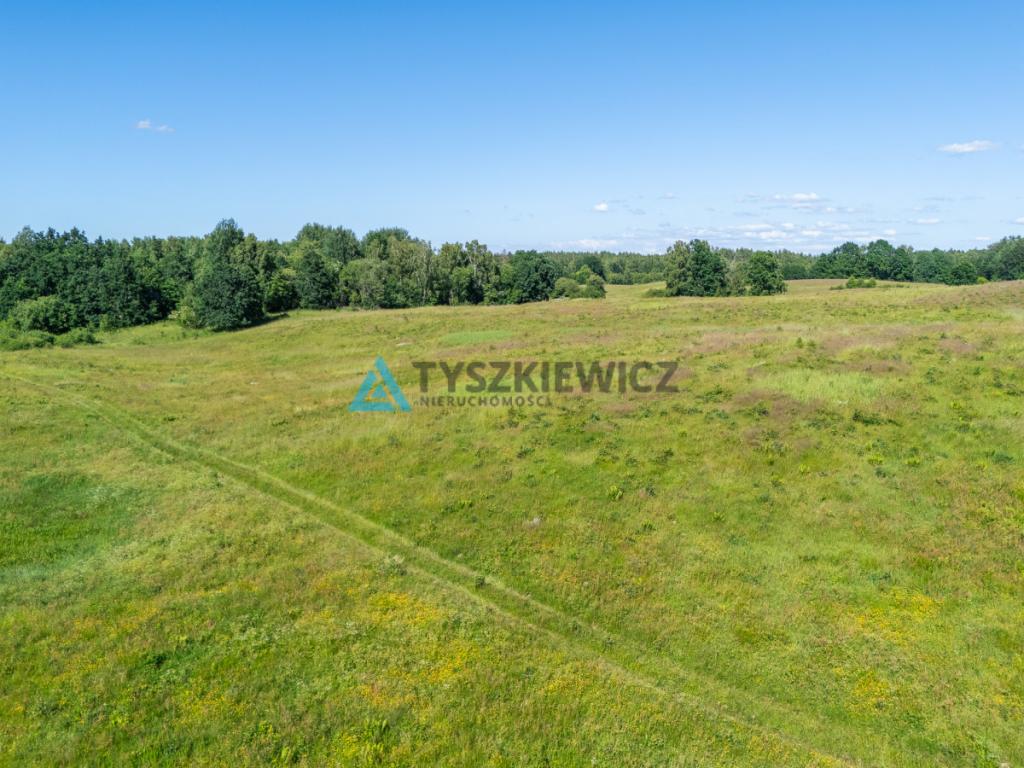 Działka rolna 10 ha - Gatka, gm. Miastko - zdjęcie 8