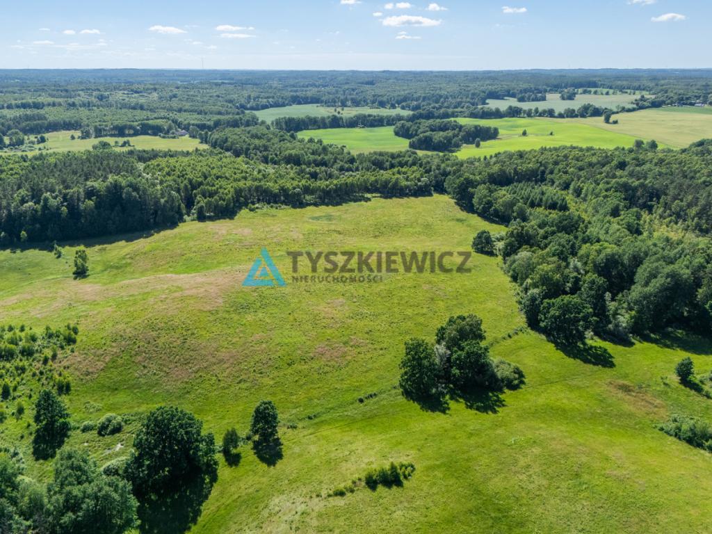 Działka rolna 10 ha - Gatka, gm. Miastko - zdjęcie 3