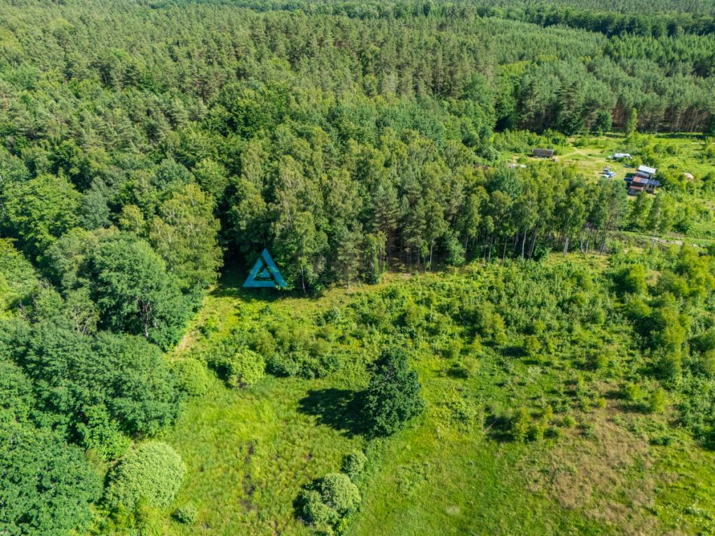 Działka rolna 10 ha - Gatka, gm. Miastko - zdjęcie 20