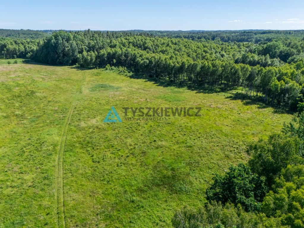 Działka rolna 10 ha - Gatka, gm. Miastko - zdjęcie 9