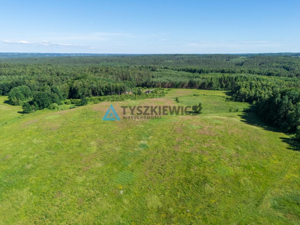 Działka rolna 10 ha - Gatka, gm. Miastko - zdjęcie 16