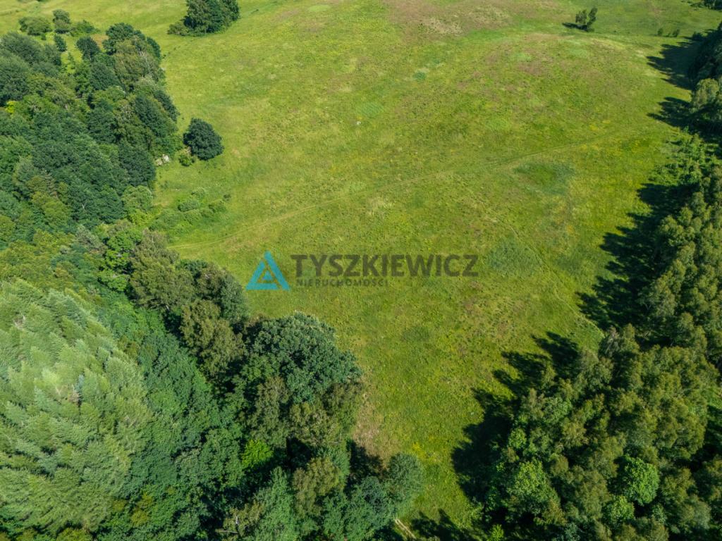 Działka rolna 10 ha - Gatka, gm. Miastko - zdjęcie 5