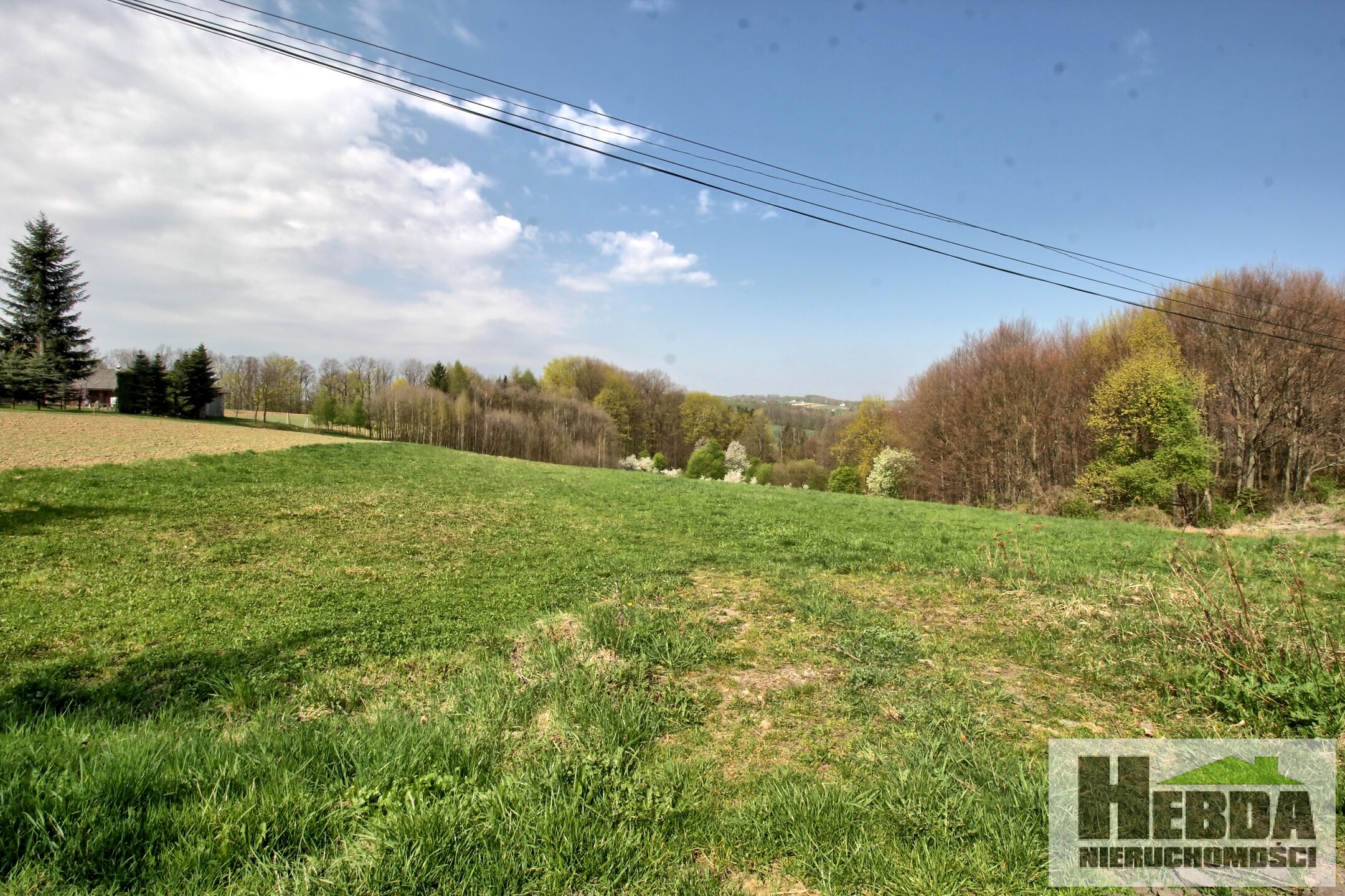 Działka budowlana, 17,11 ara, Ryglice - zdjęcie 7