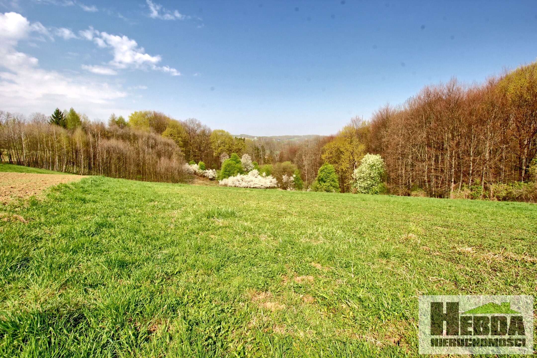 Działka budowlana, 17,11 ara, Ryglice - zdjęcie 10
