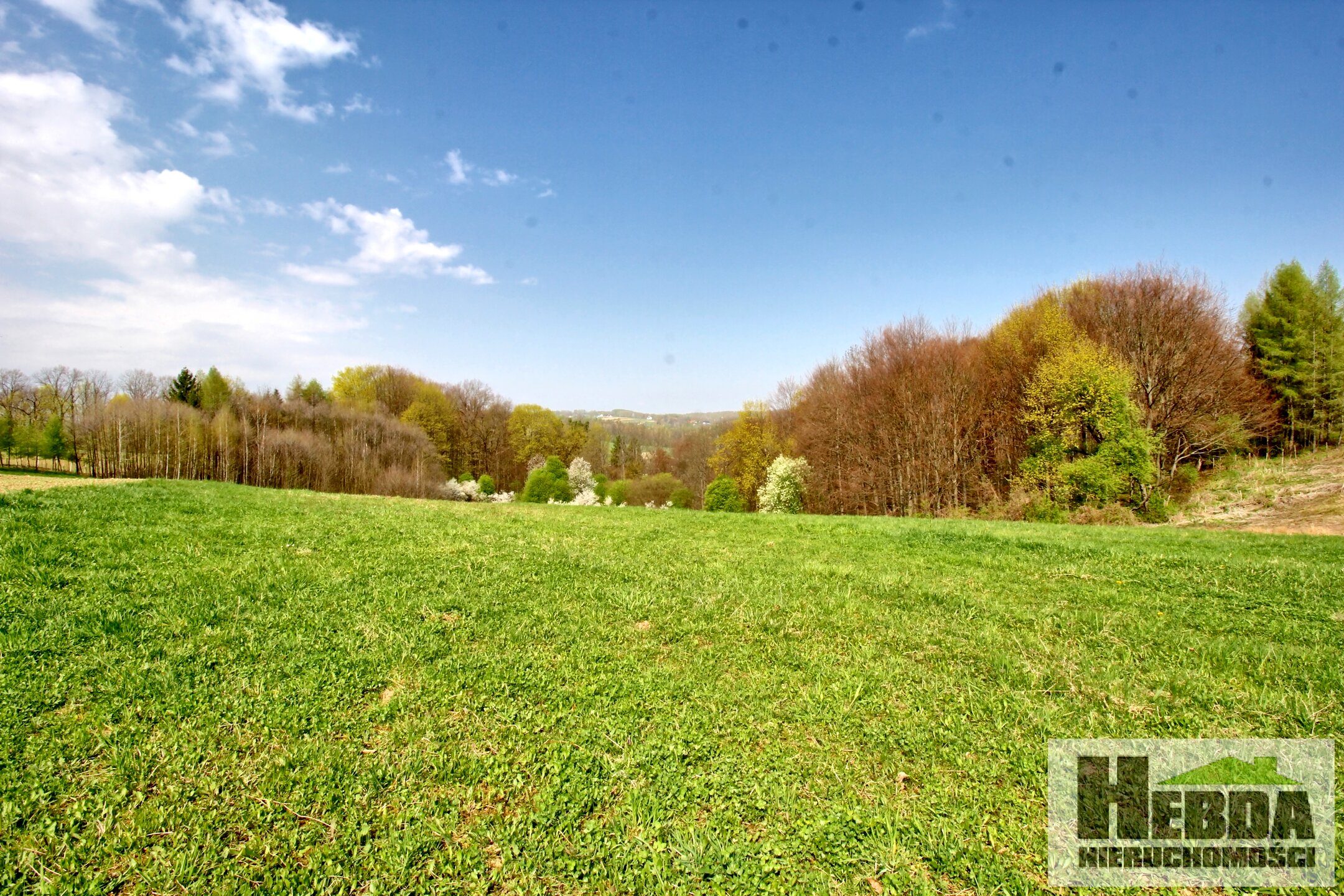 Działka budowlana, 17,11 ara, Ryglice - zdjęcie 9