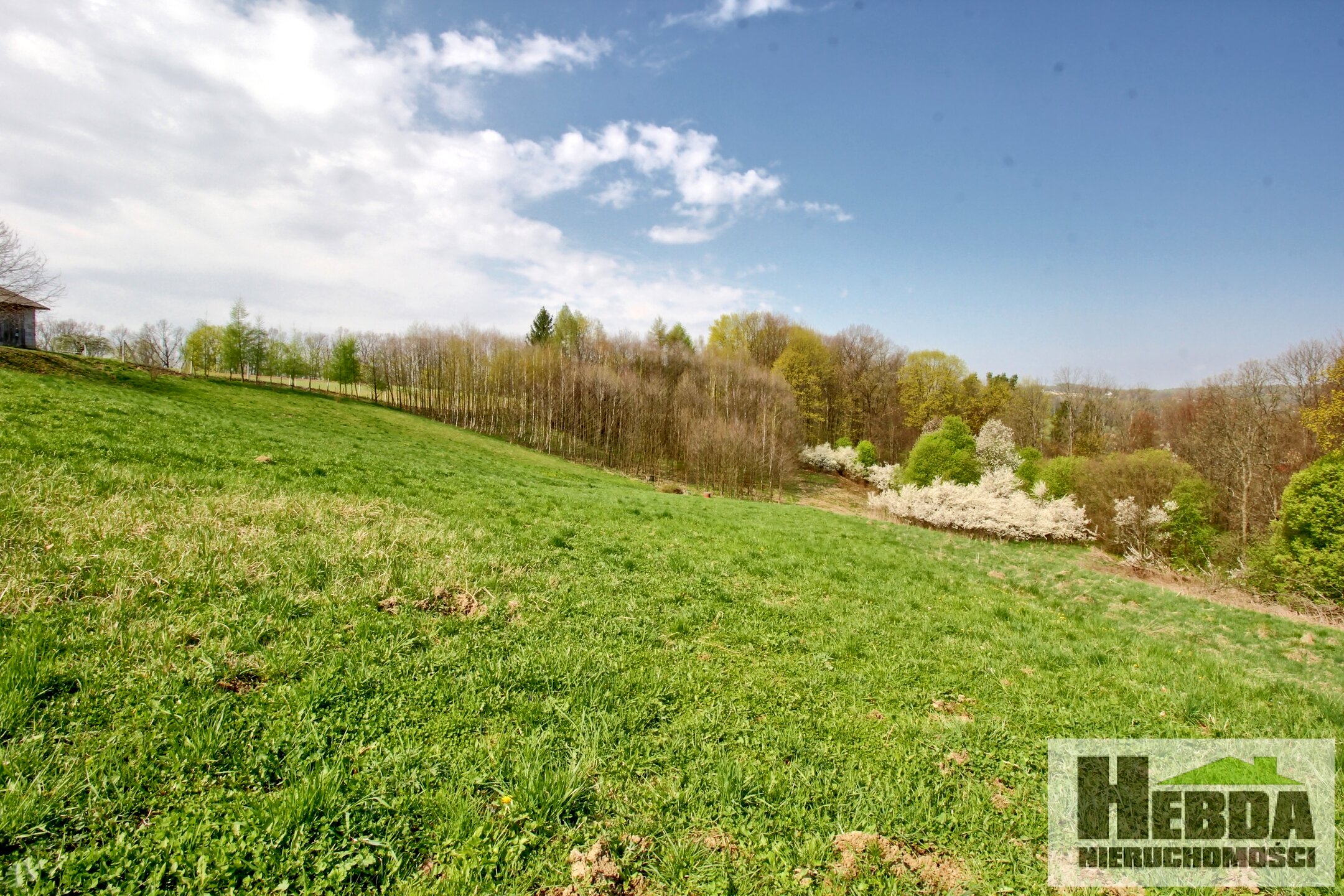 Działka budowlana, 17,11 ara, Ryglice - zdjęcie 8