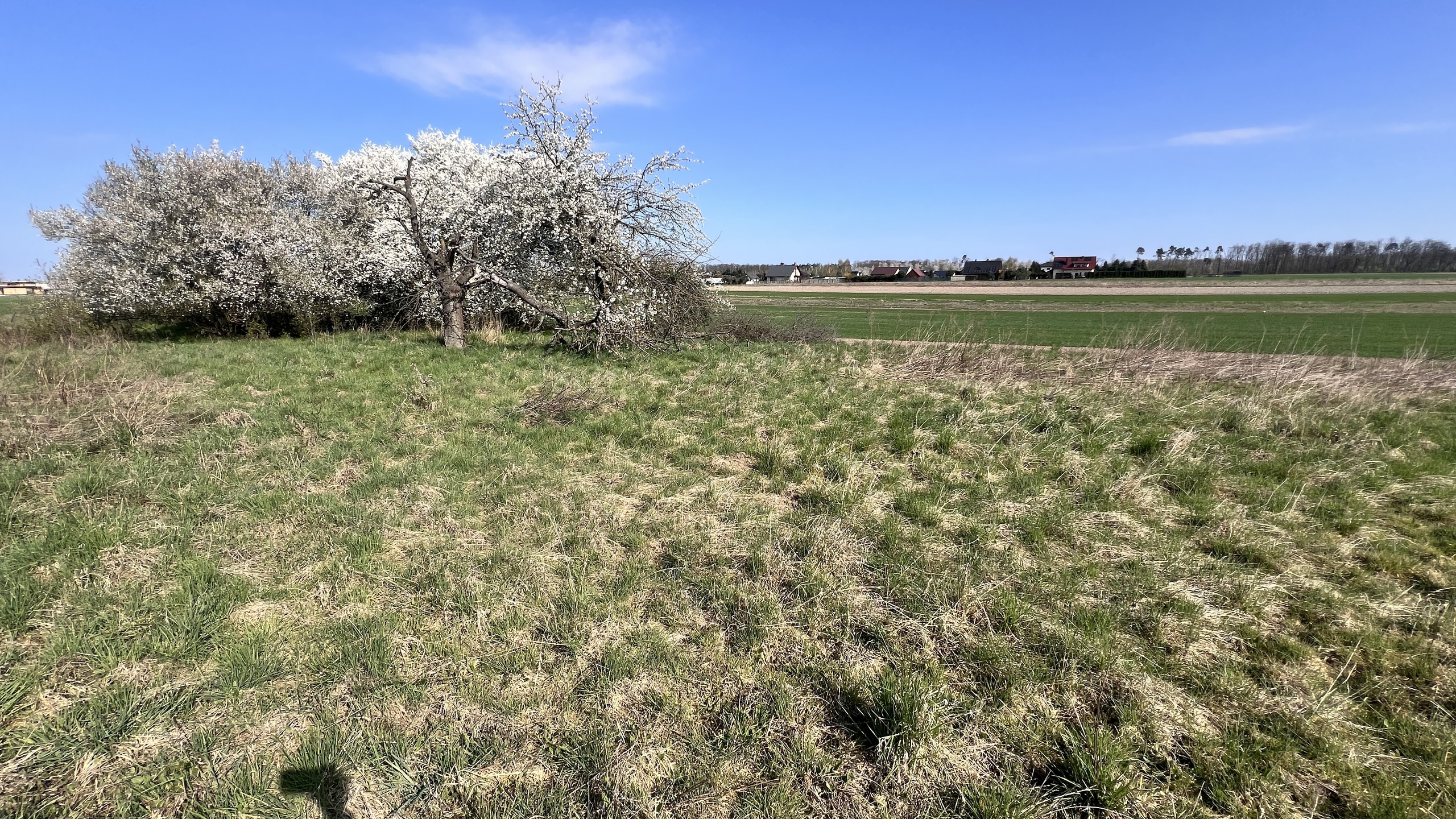 Na sprzedaż działka budowlana - 776 m² | Strykowo - zdjęcie 8