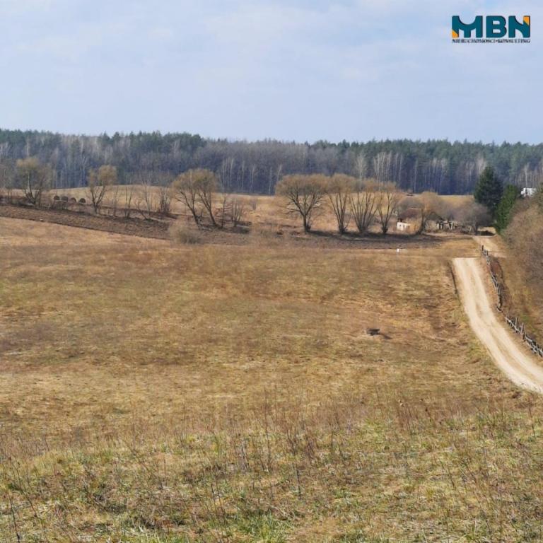 Działka budowlana 3000 m², Danowo - zdjęcie 8