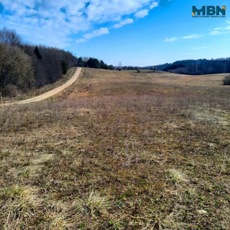 Działka budowlana 3000 m², Danowo - zdjęcie 4