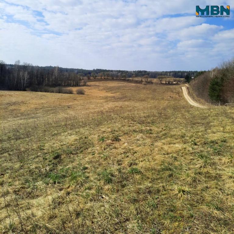Działka budowlana 3000 m², Danowo - zdjęcie 7