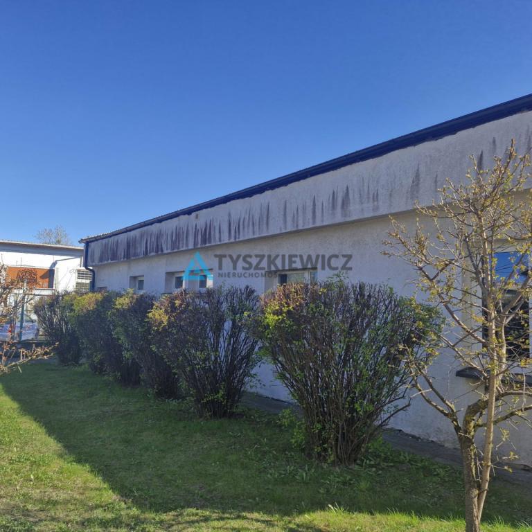 LOKAL KOMERCYJNY -HALE Z ZAPLECZEM SOCJALNYM Z DUŻ - zdjęcie 21