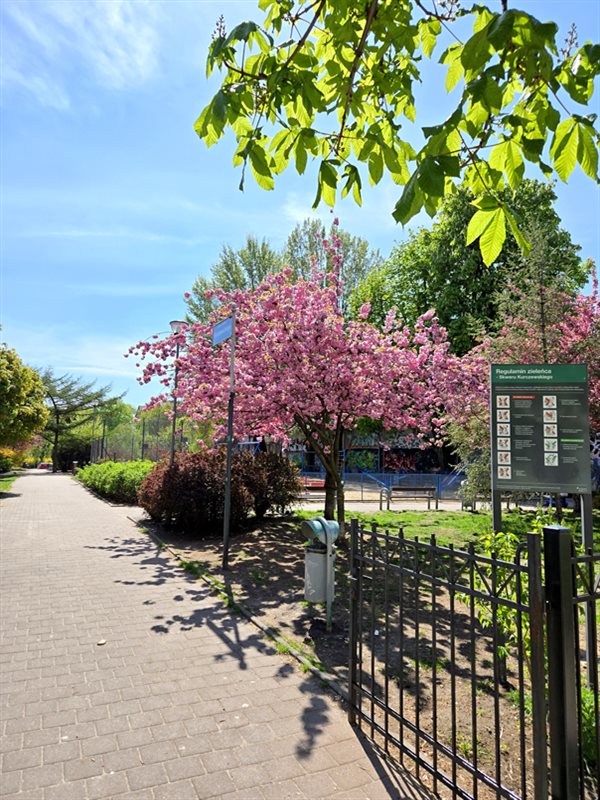 Mieszkanie 42&nbsp;m², Poznań, Wilda, Jana Kilińskiego - zdjęcie 15