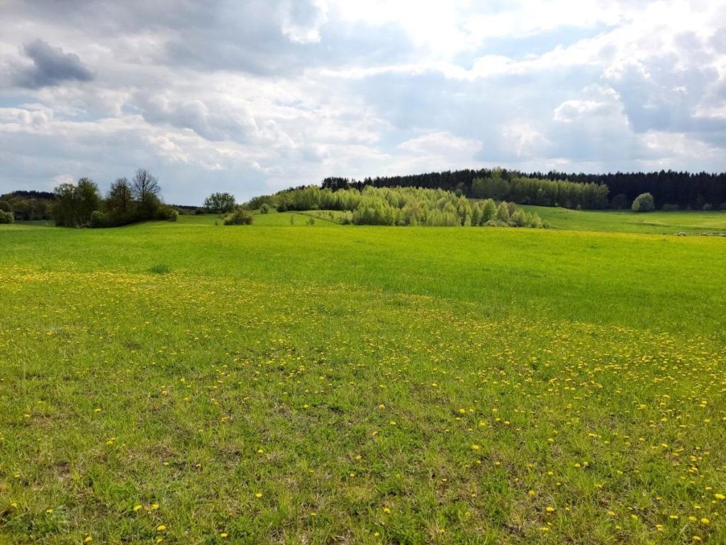 Działka budowlana 3003 m², Jeziorko - zdjęcie 10