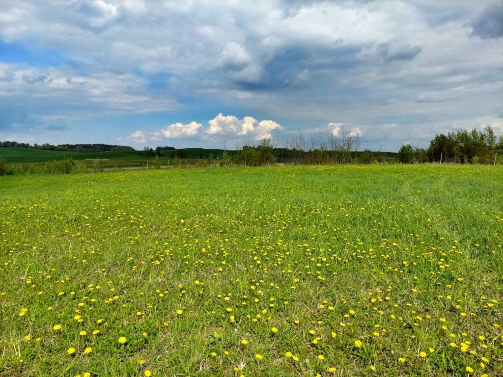 Działka budowlana 3003 m², Jeziorko - zdjęcie 7