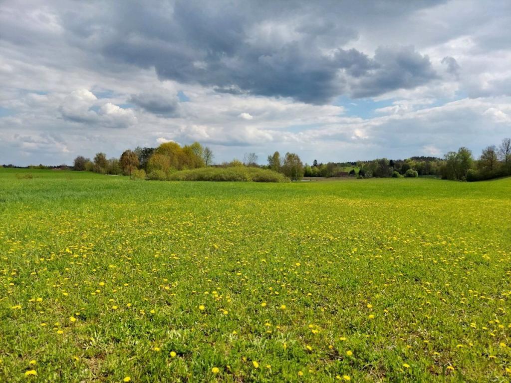 Działka budowlana 3003 m², Jeziorko - zdjęcie 13
