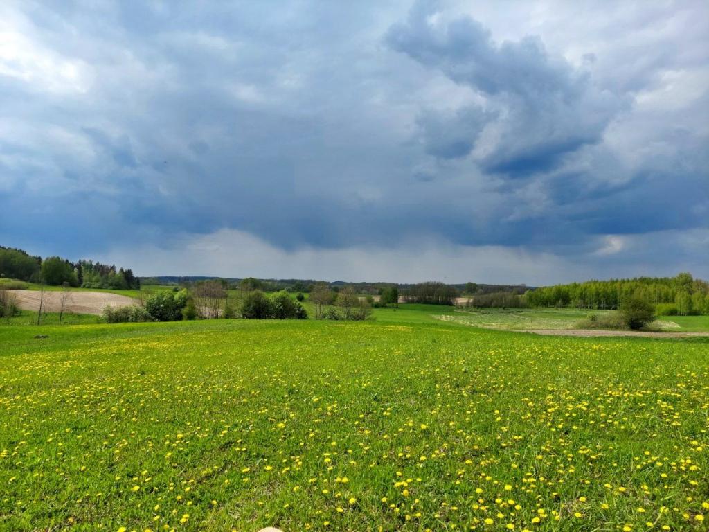 Działka budowlana 3003 m², Jeziorko - zdjęcie 5