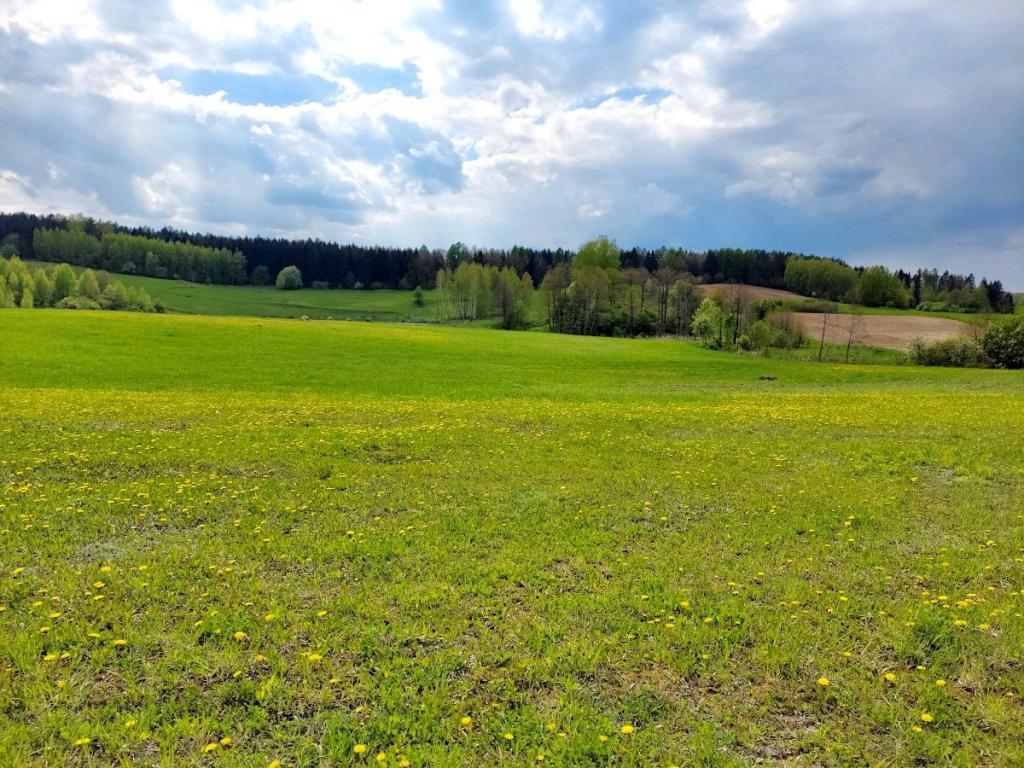 Działka budowlana 3003 m², Jeziorko - zdjęcie 4