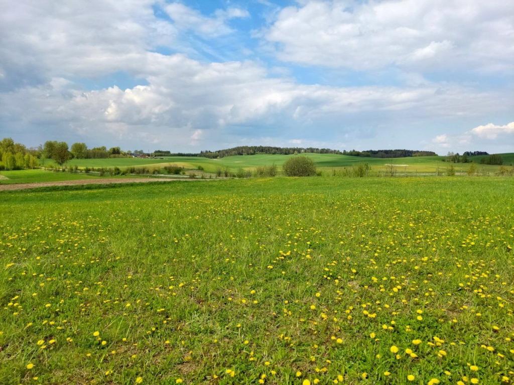 Działka budowlana 3003 m², Jeziorko - zdjęcie 9