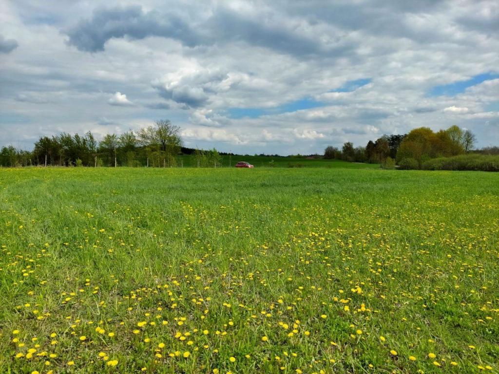 Działka budowlana 3003 m², Jeziorko - zdjęcie 6